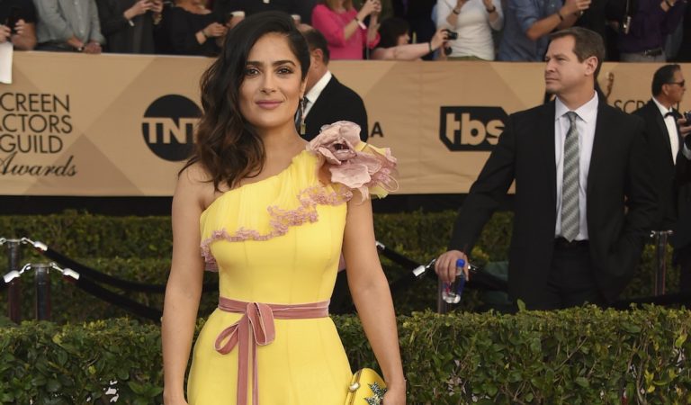Ellas fueron las peores vestidas de los SAG Awards 2017 ?