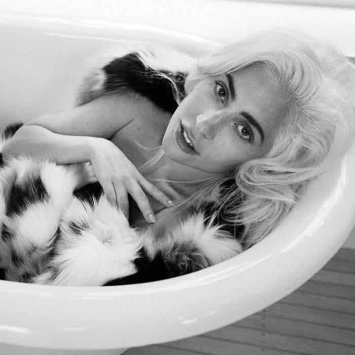 lady gaga vogue