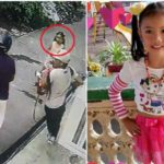 Ladrones patearon a niña de 8 años que intentó impedir un robo