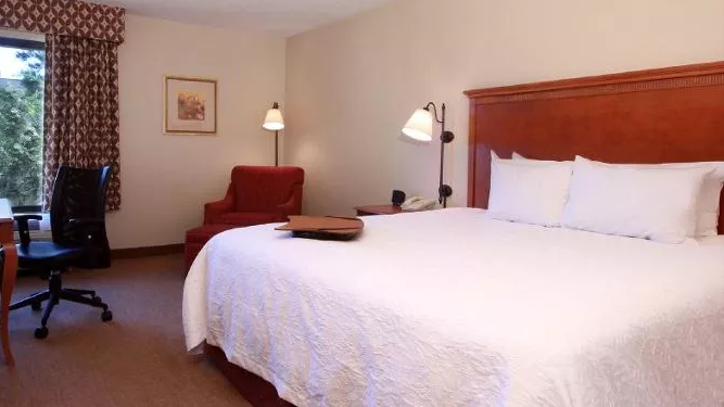 ¡Aterrador! esta mujer se despertó en la cama de un hotel con una serpiente en su brazo???