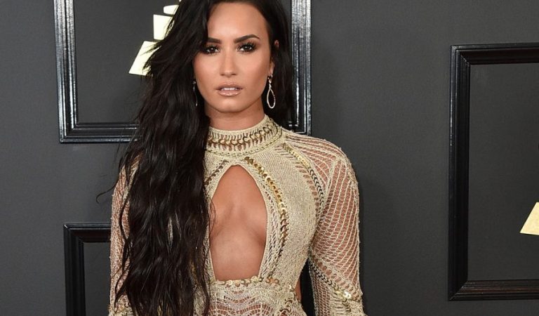 Demi Lovato gozó de los servicios de una stripper como si no hubiera un mañana ??