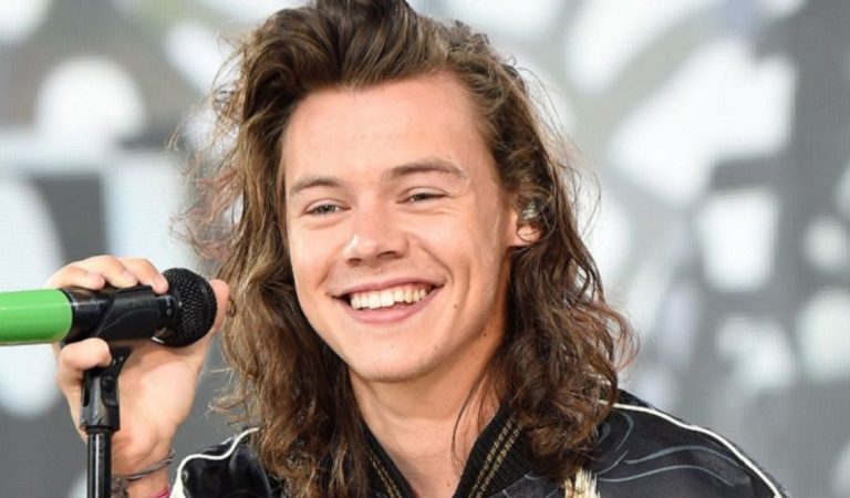 «Me encantó mi tiempo ahí»: Harry Styles agradece su paso por One Direction ??