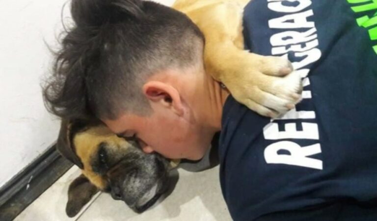 Una perra murió abrazada a su dueño mientras sufría por la pirotecnia ??