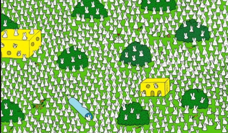 ¡No pierdas la cabeza! Encuentra al fantasma, el nuevo reto viral que tiene a todos patas arriba