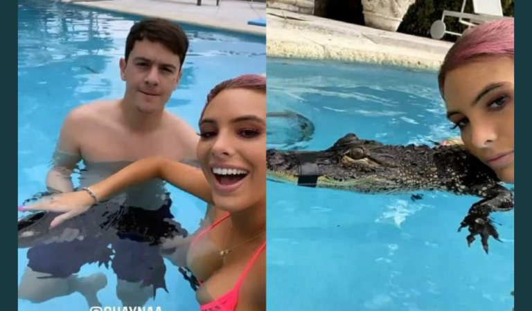 “No soy un abusador”: Guaynaa niega haber colaborado con el maltrato de un lagarto