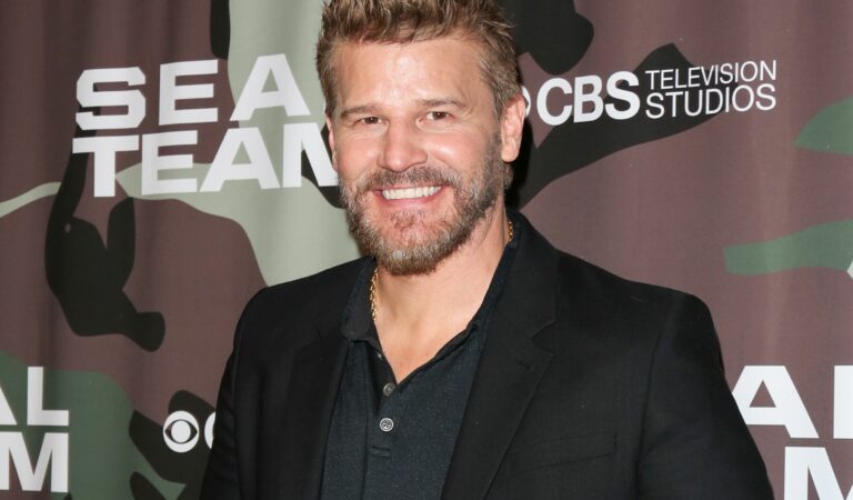 ¡MUCHACHO! David Boreanaz fue tendencia en Twitter luego de que se filtrara un video íntimo ??