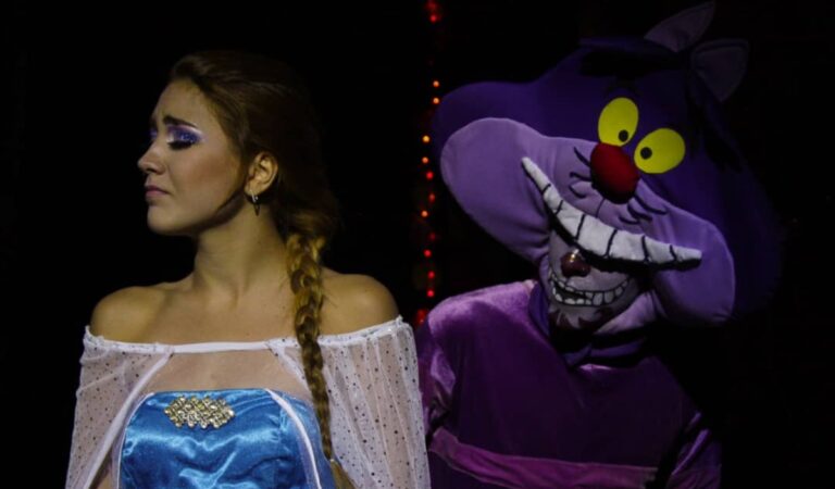 Todas en un mismo escenario: Las princesas de Disney se reúnen en un cuento hechizado ?✨