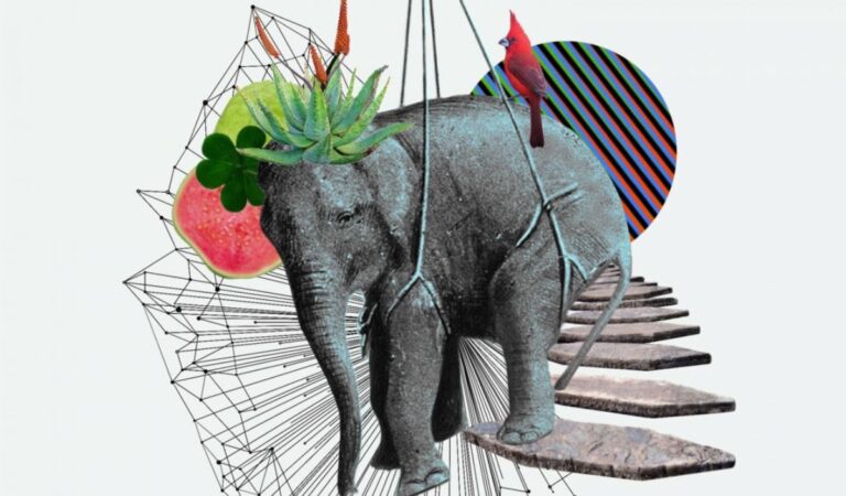 El ganador del Latin Grammy, Miguel Siso estrenó su álbum «Itinerante» ??