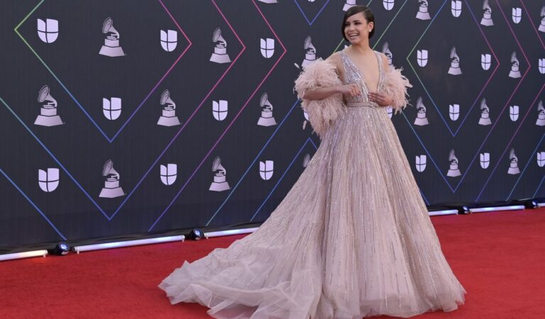 Latin Grammy 2021: Los artistas brillaron en la alfombra roja ?✨