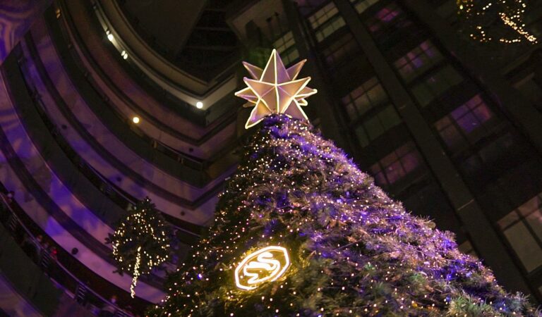 Como un bosque mágico y encantado: Líder dio la bienvenida a la Navidad con el encendido de su árbol