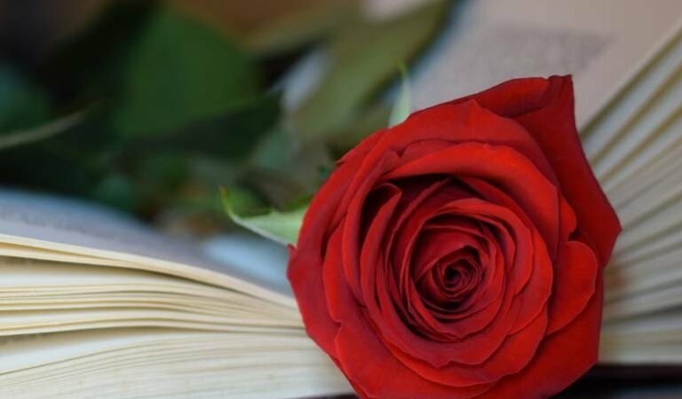 Qué Leer celebra el Día del Libro con loable actividad ??