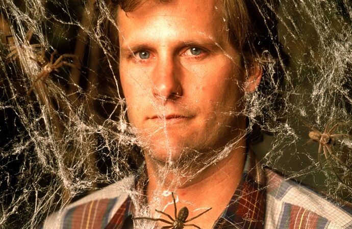 Se viene un remake de «Aracnofobia»…. ¿Se basarán en Venezuela otra vez?