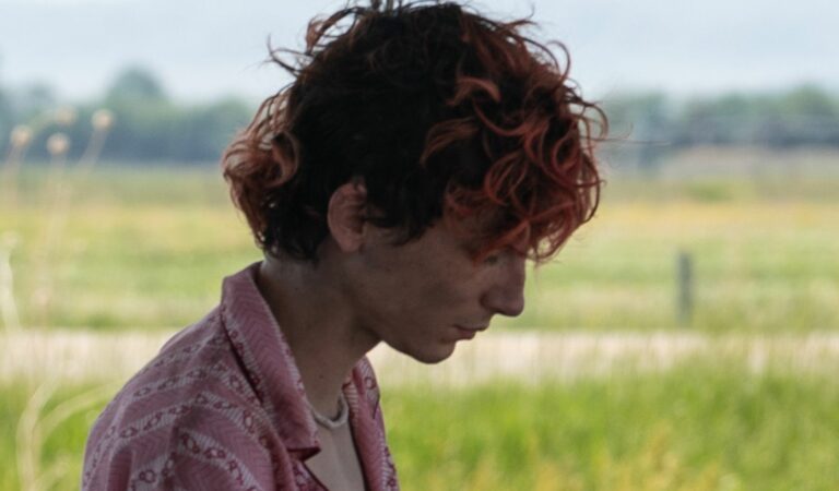 Timothée Chalamet es un caníbal en las nuevas imágenes de la película Bones & All