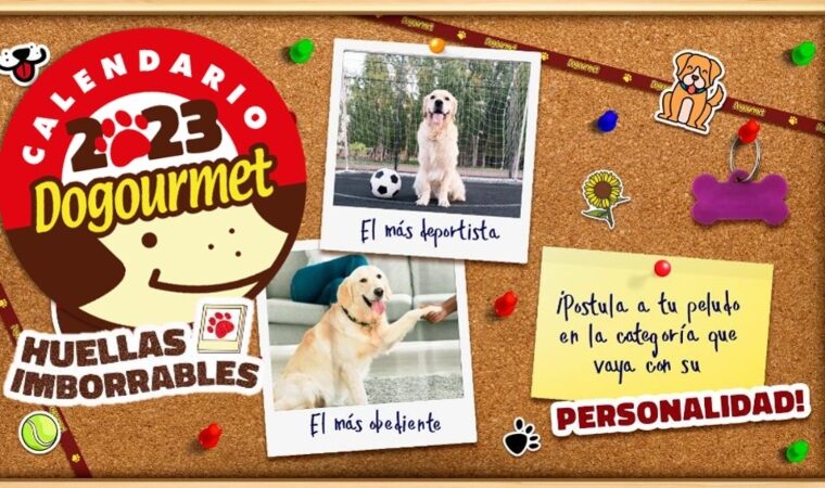 Postula a tu peludito: Dogourmet inició casting para su calendario 2023