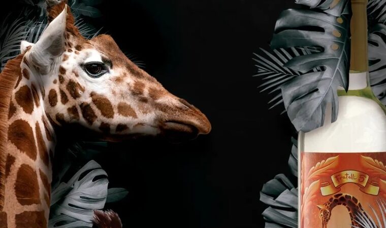 Diversas, pero equilibradas: Con cinco sabores diferentes a Venezuela llegó una bebida jovial y refrescante