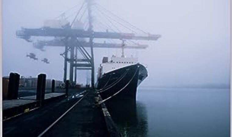 Gerencia Marítima en Tiempos de Inteligencia Artificial: Pablo Torres Chong presenta su visión