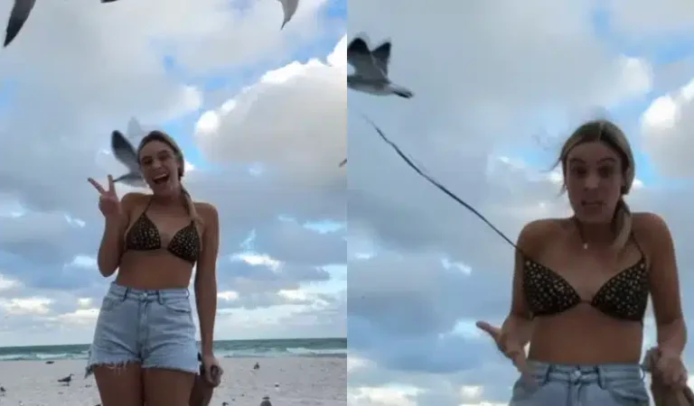 ¡La gaviota actriz! Lele Pons y el incidente playero que se hizo viral