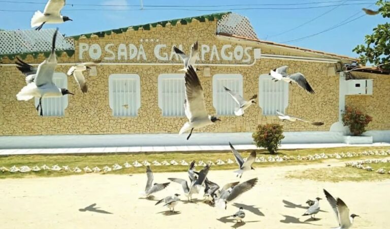¡En Carnaval! La Posada Galápagos se prepara para recibir a los turistas