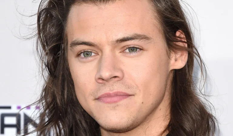 ¿Quéééé? Una mujer fue sentenciada a prisión por acosar Harry Styles