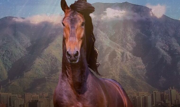 En su 1era edición, AgroCaracas 2024 contará con un sinfín de atracciones