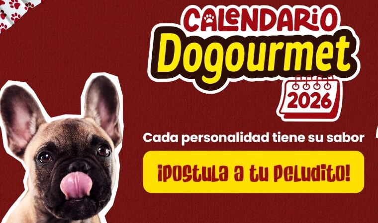 Dogourmet lanza su edición 2026 del calendario más pet friendly de Venezuela