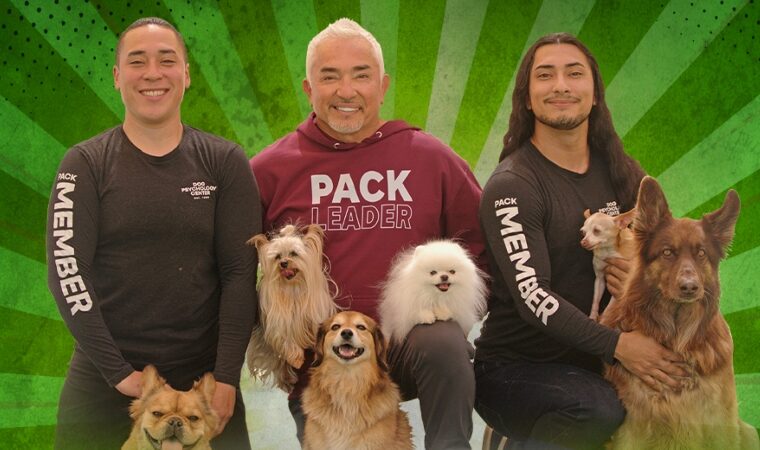 Expo Mascotas 2026 abre casting oficial para perros venezolanos que subirán al show de César Millán