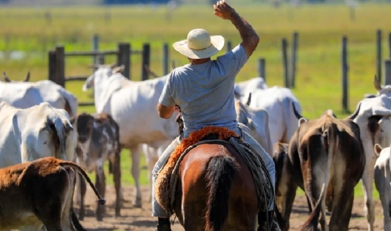 Expoferia Ganadera y Agrícola 2026 reunirá al campo y la ciudad en el CCCT